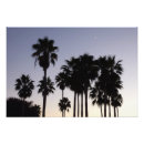 Search for peaceful scene posters Dusk