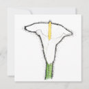 Search for lily flower note cards Garden