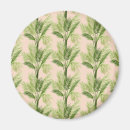 Search for indoor magnets Tropical
