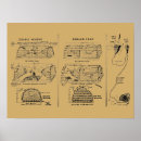 Search for lobster trap posters Traps