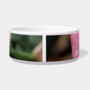 Search for anniversary pet supplies Valentines