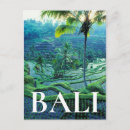 Search for rice terraces postcards Bali