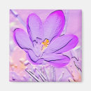 Search for crocus magnets Floral