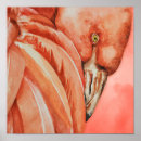 Search for cute bird drawing posters Nature