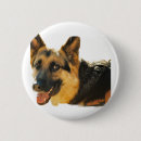Search for police dog badges Canine