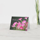 Search for petunias cards Pretty