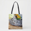 Search for lounge bags Stripes