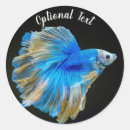 Search for fighting fish stickers Aquarium