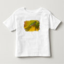 Search for tree frog tshirts Amphibian