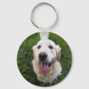 Search for golden retriever key rings Dogs