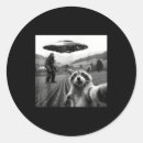 Search for funny bigfoot stickers Socialmedia