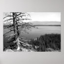 Search for bare photography Travel destinations