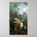 Search for cattleya orchid posters Orchids