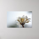 Search for plumeria canvas prints Hawaii