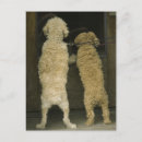 Search for rear view postcards Vertical
