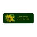 Search for daisy flowers return address labels Yellow