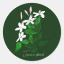 Search for jasmine stickers Botanical