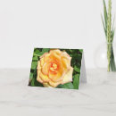 Search for yellow rose note cards Blank