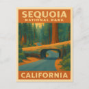 Search for vintage camping postcards Us national parks