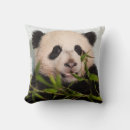 Search for giant panda cushions Animals