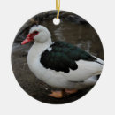 Search for beak christmas tree decorations Feathers