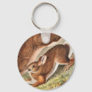 Search for a wild hare key rings Wildlife