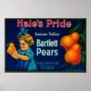 Search for hale Pride