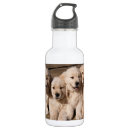Search for buddy water bottles Animals