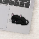 Search for black kitten stickers Nature