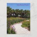 Search for naples florida postcards Tropical