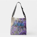Search for budgie bags Parrot
