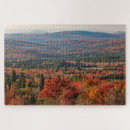 Search for white mountains puzzles Forest