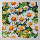 Search for daisy posters Watercolor