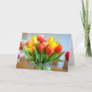 Search for amsterdam netherlands cards Tulips