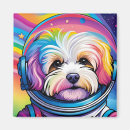 Search for astro magnets Space