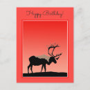 Search for caribou postcards Alaska