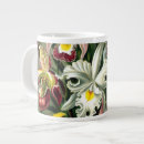 Search for ernst haeckel mugs Illustration