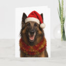 Search for belgian christmas cards Dog