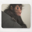 Search for open mouth mouse mats No people