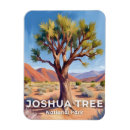 Search for joshua tree magnets Park