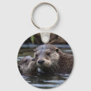 Search for otter key rings Animal