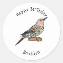 Search for flickers stickers Bird
