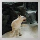 Search for wolves posters Inspirational