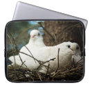 Search for bird s nest electronics Wildlife