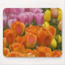 Search for holland mouse mats Tulip