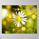 Search for tier posters Natur