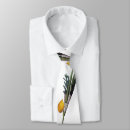 Search for sukkot ties Lulav