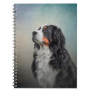 Search for bernese mountain dog gifts Beautiful