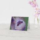 Search for sloth drawing cards Animal