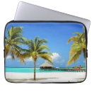Search for indian ocean cases Palm tree